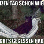 GANZEN TAG SCHON WIEDER NICHTS GEGESSEN HABEN