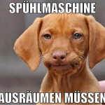 spühlmaschine ausräumen müssen