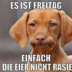 es ist freitag einfach mal die eier nicht rasieren