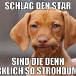 schlag den star sind die denn wirklich so strohdum