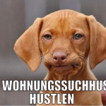 den wohnungssuchhustle hustlen 