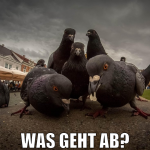 was geht ab?