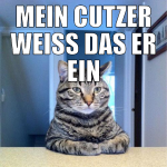 Mein Cutzer weiß das er ein übertier ist