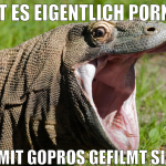 gibt es eigentlich pornos die mit gopros gefilmt s