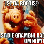 Ist da Roctis? Wo ist die Grambih kadse?          
