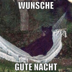 Wünsche gute nacht