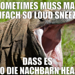 SOMETIMES MUSS MAN EINFACH SO LOUD SNEEZEN DASS ES