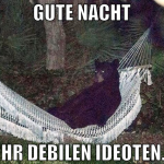 gute nacht ihr debilen ideoten. 