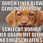 Gut:Durch einen Blowjob geweckt werden! Schlecht:V