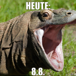 heute: 8.8.