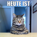 Heute ist Weltkatzentag!