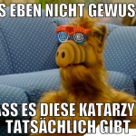 bis eben nicht gewusst dass es diese katarzyna tat