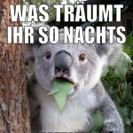 was träumt ihr so nachts wenn ihr träumt