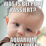 was is bei polo passiert? aquarium ausgelaufen?