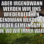 aber irgendwann werden wir uns wiederbegenen, irge