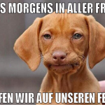 Eines Morgens in aller Frühe trafen wir auf unsere