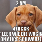 2 am 4fuckr ist leer wie die waginer von Alice Sch