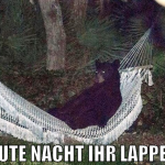 gute nacht ihr lappen