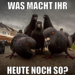 was macht ihr heute noch so?