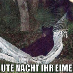 gute nacht ihr eimer
