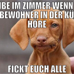 bleibe im Zimmer wenn ich mitbewohner in der küche