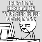 HSV STREAM EINSCHALTEN 