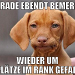 GERADE EBENdt BEMERKT WIEDER UM 12 plätze im rank 