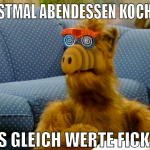 kotnaschen