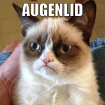 augenlid zuckt