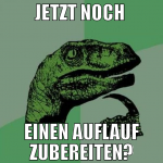 jetzt noch  einen auflauf zubereiten?