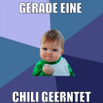 gerade eine  chili geerntet