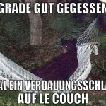 Grade gut gegessen erstmal ein verdauungsschläfche