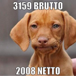 3159 brutto 2008 netto