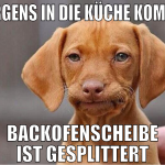 morgens in die küche kommen backofenscheibe ist ge