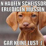 einen haufen scheissdreck erledigen müssen gar kei