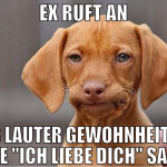 ex ruft an aus lauter gewohnheit am ende 