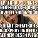im treppenhaus ein nest von spinnen entdeckt und k