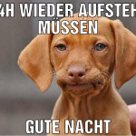 in 4h wieder aufstehen müssen Gute Nacht