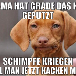 Mama hat grade das klo geputzt schimpfe kriegen we