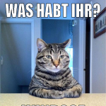 was habt ihr? windoof oder linux?