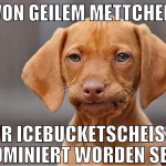 VON GEILEM METTCHEN ZUR ICEBUCKETSCHEIßE NOMINIERT