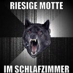 RIESIGE MOTTE IM SCHLAFZIMMER