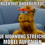morgen mit anderem fuckr neue wohnung streichen, m
