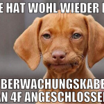 nse hat wohl wieder ihr überwachungskabel an 4f an