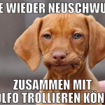 nie wieder neuschwule zusammen mit adolfo trollier