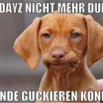 bei dayz nicht mehr durch wände guckieren können