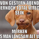 von gestern abend immernoch total wrecked sein mer