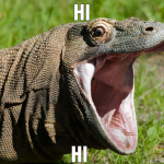 Hi Hi 