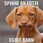 spinne an fotze egibt bahn