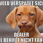 WEED VERSPÄTET SICH DEALER WILL BEKIFFT NICHT FAHR